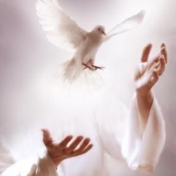 Meet your Posher, Yenny - Picture 1 of 1